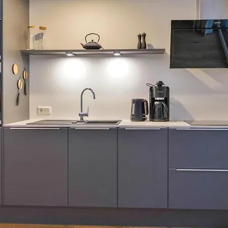Awesome In Lembruch-duemmer With Kitchen
